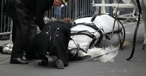 horses in london incident
